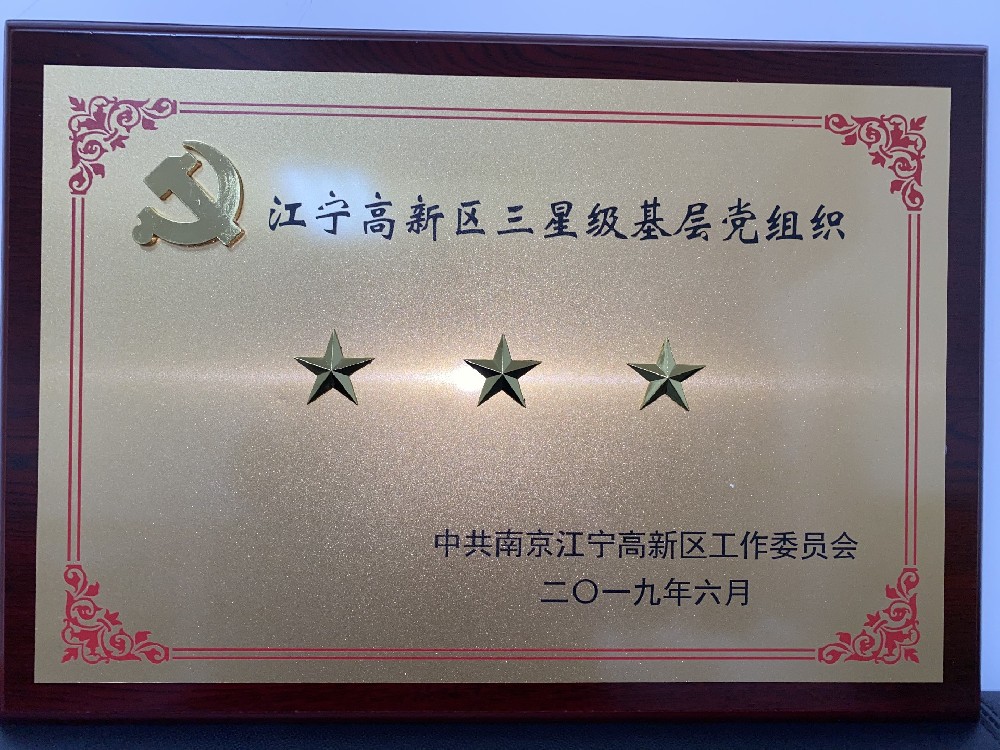 2019江宁高新区三星级基层党组织