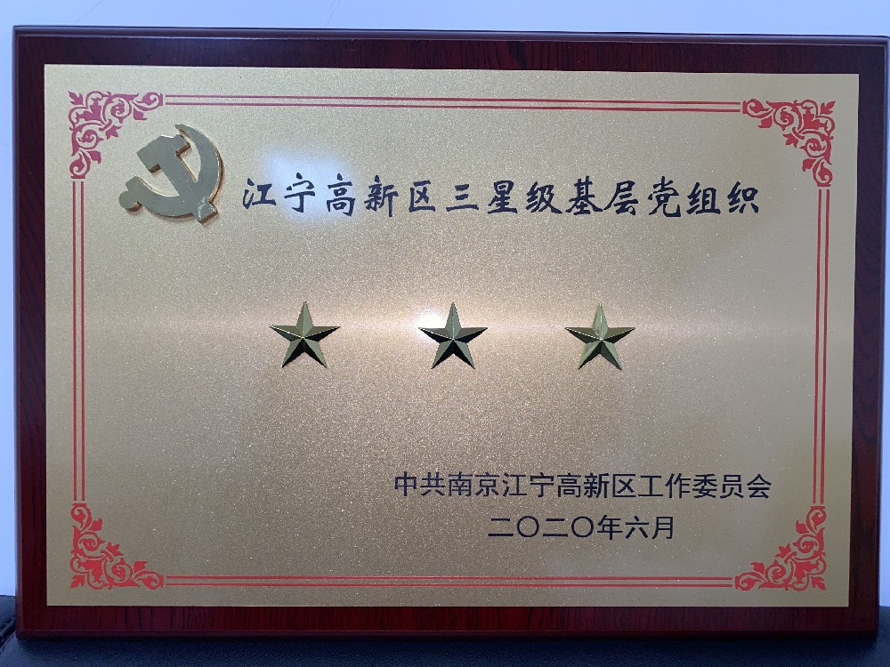 2020江宁高新区三星级基层党组织